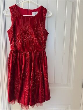 Rare Editions Red Sequin Velvet Party Dress